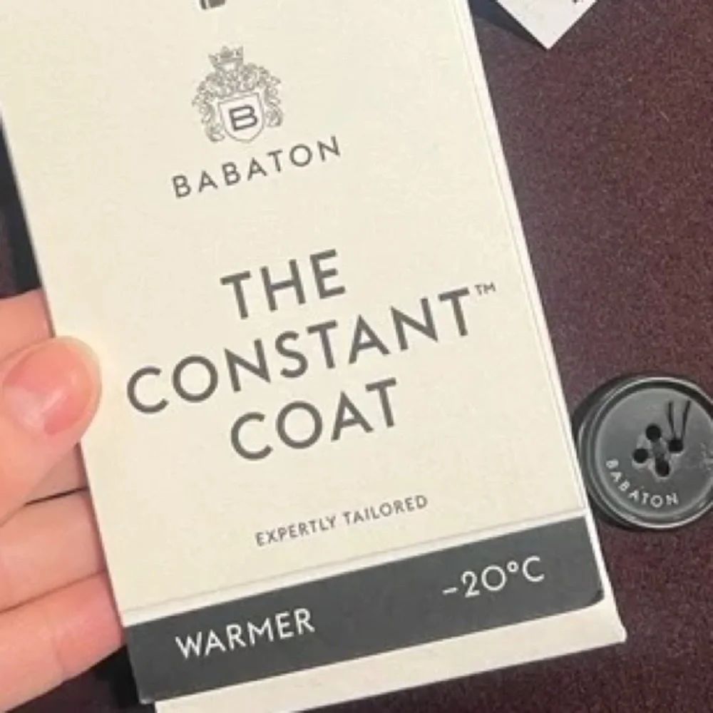 Virgin Wool Cashmere Aritzia Babaton The Constant Coat - Picture 11 of 12